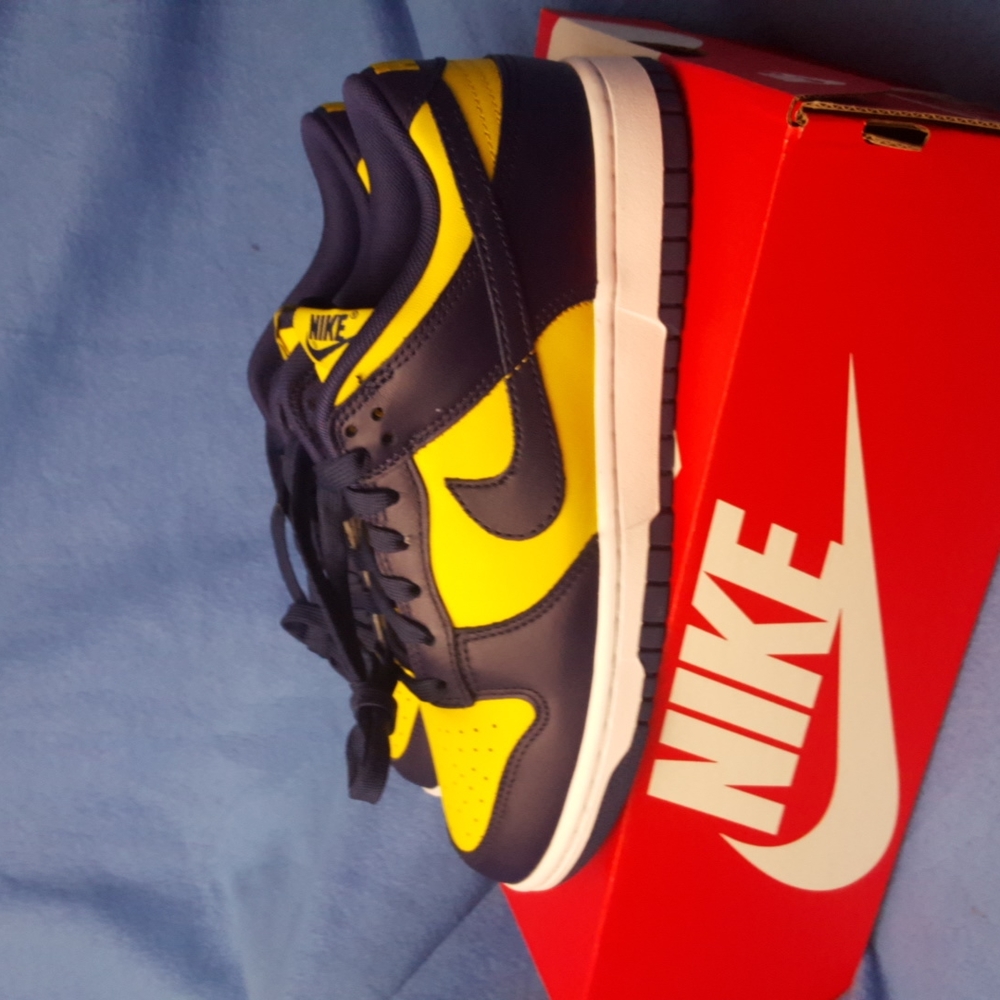 Nike Dunk Low retro